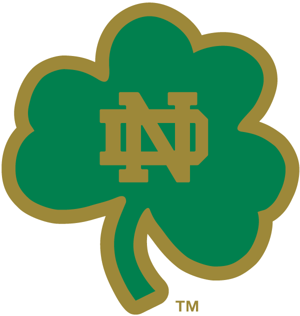 Notre Dame Fighting Irish 1994-Pres Alternate Logo v15 diy DTF decal sticker